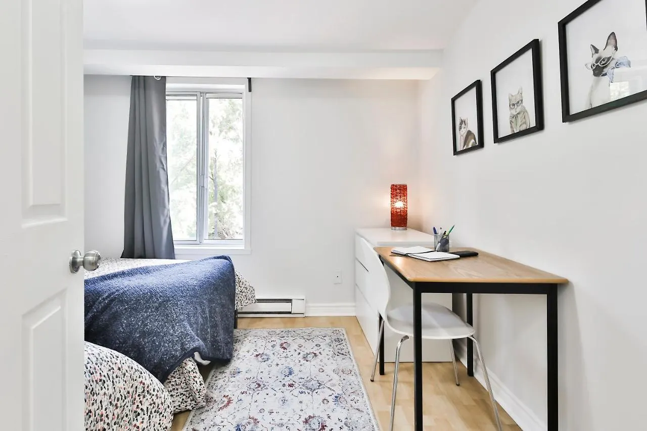 Free Parking And Central Location Montreal 0*,